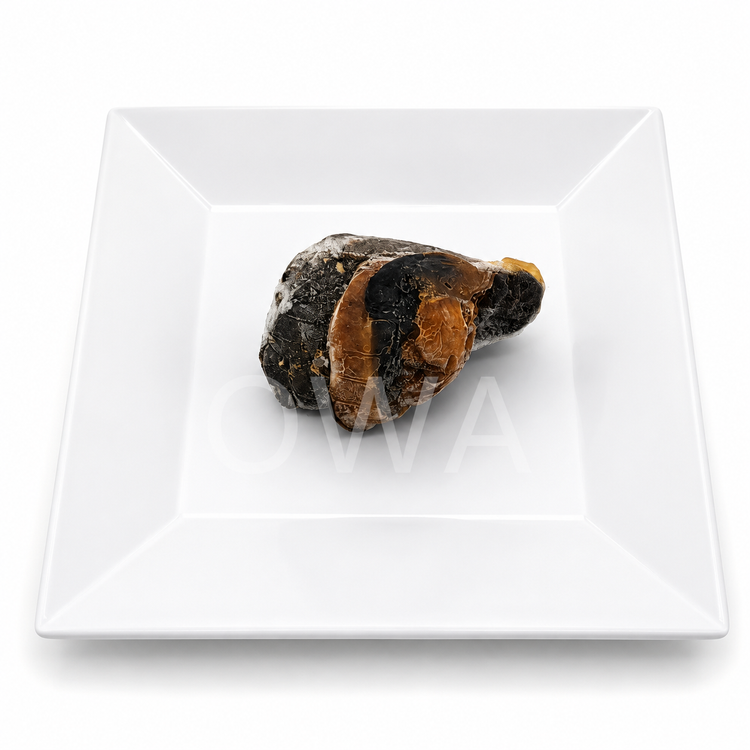 Frozen Snail For Obatala