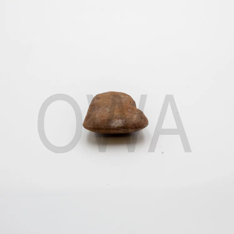 Edun Ara - Small