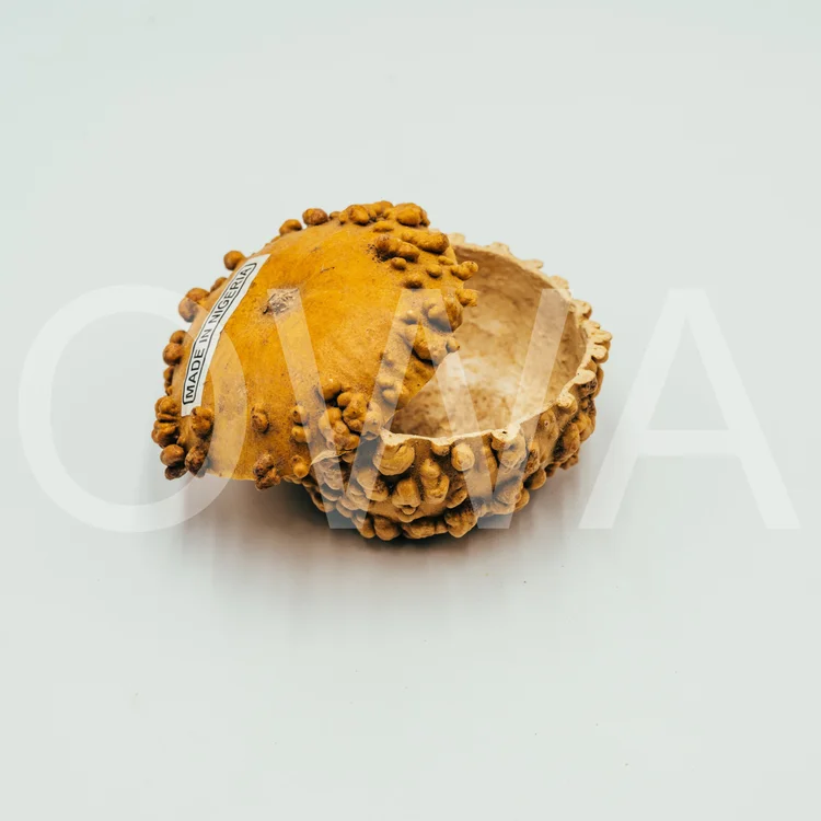 Igba Onikoko