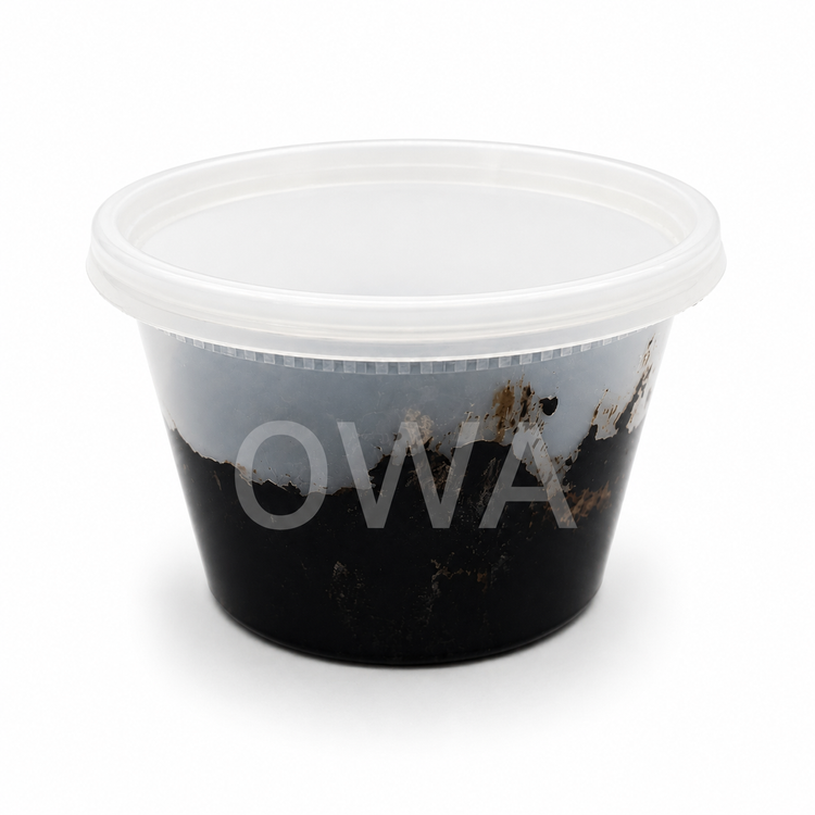 Oshole Money Soap - With Instructions